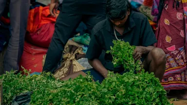 A vendor sorting fresh green leafy vegetables at an Indian market