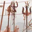 Why Are Tamil Nadu's Communities Turning Local Gods Into Mainstream Deities?